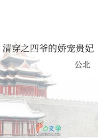 清穿:四爷的娇宠格格